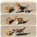 Adjustable Wooden Raised Pet Bowl Stand with 2 Stainless Steel Bowls for Small Dogs & Cats