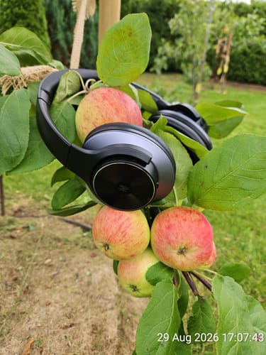 Schwarze Oneodio-Kopfhörer hängen in einem Apfelbaum